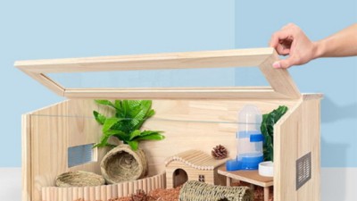 🐹 우리 햄찌, 꿀잠 보장! 나무 케이지 특가 후기 🏡